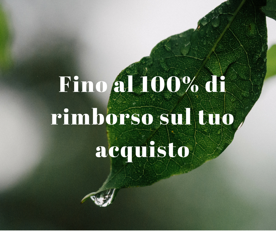 Fino al 100% di rimborso su stufe a pellet Fino al 100% di rimborso su stufe a pellet